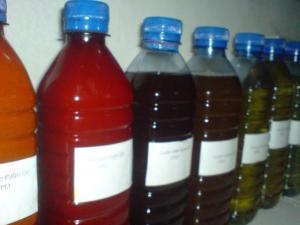 Wholesale fitness products: Crude Jatropha Oil
