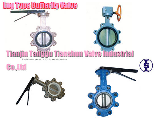 Lug Type Butterfly Valve - Tianjin Tanggu Tianshun Valve Industrial Co.,Ltd