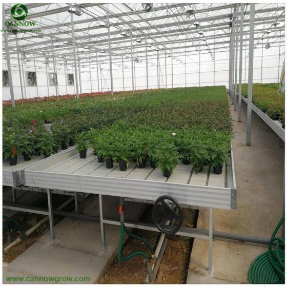 Customized Flow and Drain Rolling Table EBB and Flow Tray for Seedling and Vegetables