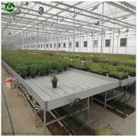 Customized Flow and Drain Rolling Table EBB and Flow Tray for Seedling and Vegetables 2
