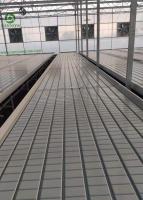 Customized Flow and Drain Rolling Table EBB and Flow Tray for Seedling and Vegetables 3