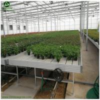 Customized Flow and Drain Rolling Table EBB and Flow Tray for Seedling and Vegetables