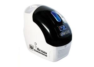 Wholesale favourable price: 1L Oxygen Concentrator