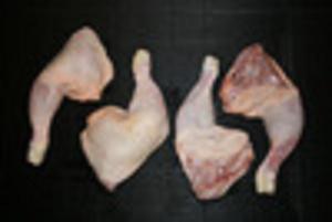 Wholesale slaughter: Grade A Frozen Chicken Leg Quarters