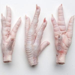 Wholesale frozen a: Frozen Chicken Paws - Grade A