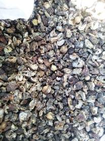 Wholesale herbal products: Amla
