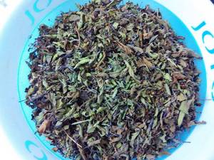 Wholesale thai herbs: Tulsi / Basil Leaves