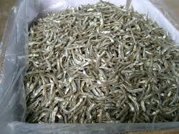 Wholesale dried anchovy fish: Dried Anchovy Fish