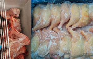 Wholesale turkey: Frozen-Chicken Turkey