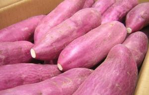 Wholesale Fresh Sweet Potatoes: Fresh Japanese Sweet Potato