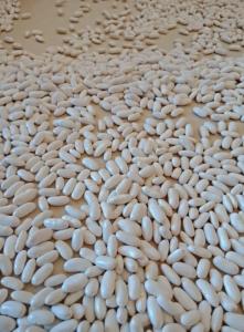Wholesale high quality: High Quality Speckled Light, Red, Black & White Kidney Beans