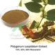 Sell Polygonum Extract