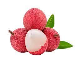 Wholesale continuous light: Luc Ngan Fresh Lychee From Vietnam with High Quality (HuuNghi Fruit)