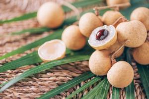 Wholesale converter: Offer Competitive Price Fresh Son La Longan From Vietnam with High Quality (HuuNghi Fruit)