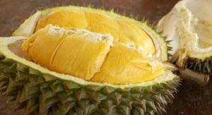 Wholesale origin thailand: Fresh Durian RI6 Good Quality and Best Price (HuuNghi Fruit)