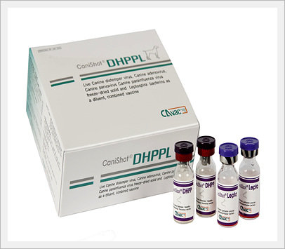 Canine dhpp hot sale vaccine