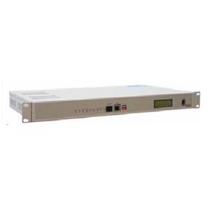 Wholesale access platforms: SDH Fiber-optic Access Platform