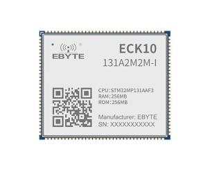 Wholesale industrial module: EBYTE ECK10-131A2M2M-I 256MB Memory Capacity Low Power System On Module (SoM) CPU Module