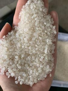 Wholesale sticky notes: Vietnam Japonica White Rice/ Japonica Round Grain Rice/ Viet Nam Japonica
