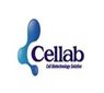 Cellab Co., Ltd. Company Logo