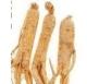 Sell CONCENTRATE  GINSENG NATURAL LINE FOR THE PRODUCTION