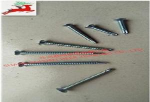 Wholesale conical bits: Flat Head Galvanized Drill Tail Nails Various Models