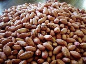 Wholesale chocolates: Peanut