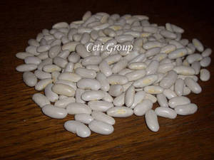 Wholesale beans: White beans