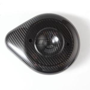 Wholesale Motorcycle Parts: Carbon Fiber Air Inlet Cover for Motorcycle