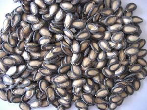 Wholesale water: Black Water Melon Seed