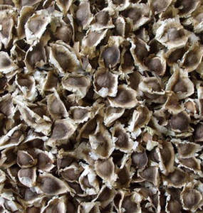 Wholesale Plant Extract: Moringa Seeds