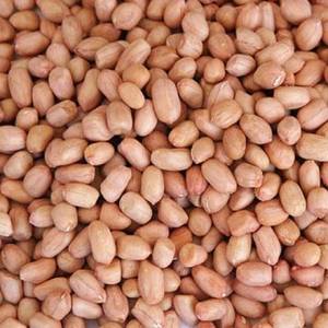 Wholesale from china: Raw Peanuts