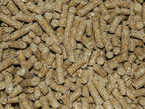 Wholesale polyethylene: Wheat Bran Pellets for Animal Feeding