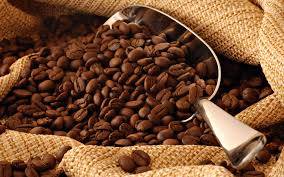 Wholesale big bag: Raw Green Coffee Beans,100% Arabica Type,