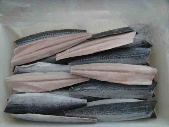 Sell frozen spanish mackerel fillet