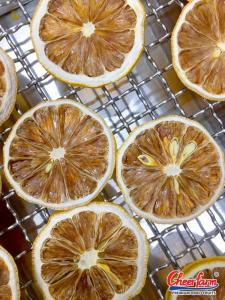 Wholesale korea: Dehydrated Citrus (Dried Lemon, Lime, Orange...) Exporting To South Korea