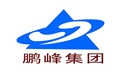 Henan Pengfeng Electronic Commerce Co.,Ltd Company Logo