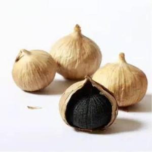 Wholesale china carrot: Black Garlic Organic Pressure Price Powder Suppliers Elephant Garlic Seeds Price for 1 Ton