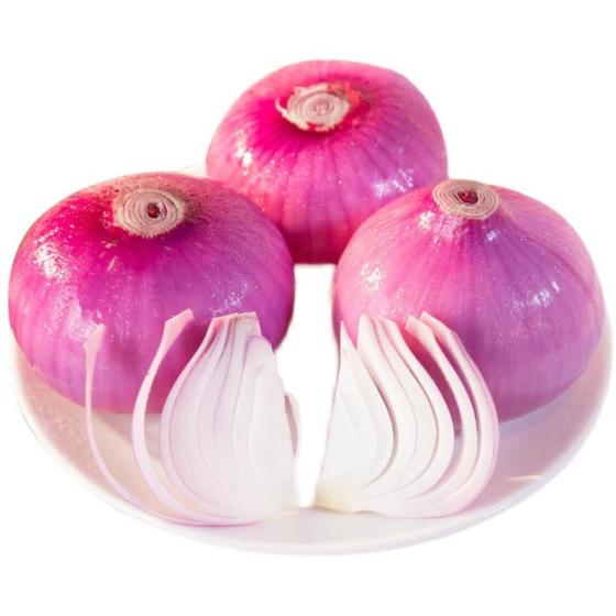 Direct Farm Selling Most Fresh Spicy Sweet Onion From Shandong Chengda ...