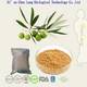 Olive Leaf Extract Powder Oleuropein 25%