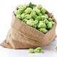 Organic Pure Natural Hops Extract
