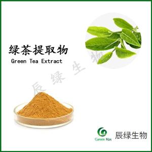 Wholesale green tea extracts: Green Tea Extract-EGCG,Tea Polyphenols,Epicatechin,Theanine