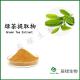 Green Tea Extract-EGCG,Tea Polyphenols,Epicatechin,Theanine