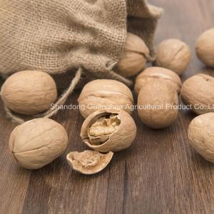 Wholesale in shell walnut: High Quality New Crop X2 China Origin Washed X2 Walnut in Shell