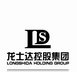 Longshida Holding Group Company Logo