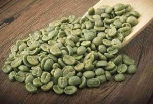 Wholesale cup: Quality Coffee Beans