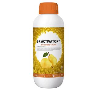 Wholesale health drink: BR ACTIVATOR Brassinolide 0.01%SL, 0.01%SP Plant Growth Regulator