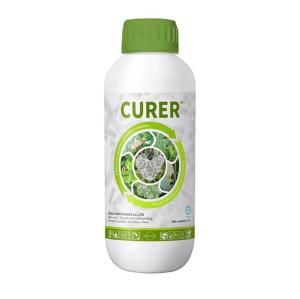 Wholesale canned strawberry: CURER -Bio Fertilizer for Fungal Diseases