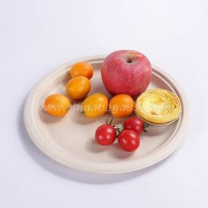 Wholesale w: Biodegradable Disposable Compostable Sugarcane Bagasse Round Plates in 10 Inch