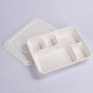 Wholesale Clamshells: Biodegradable Disposable Deep Tray with Lid Sugarcane School Lunch Tray